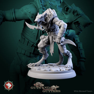 Rat Rogue Assassin Bundle